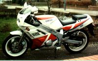 FZR600